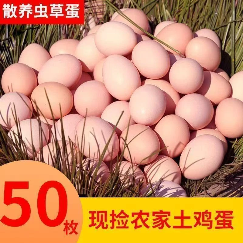 【50枚】山林散养土鸡蛋新鲜营养健康谷物喂养现捡现发