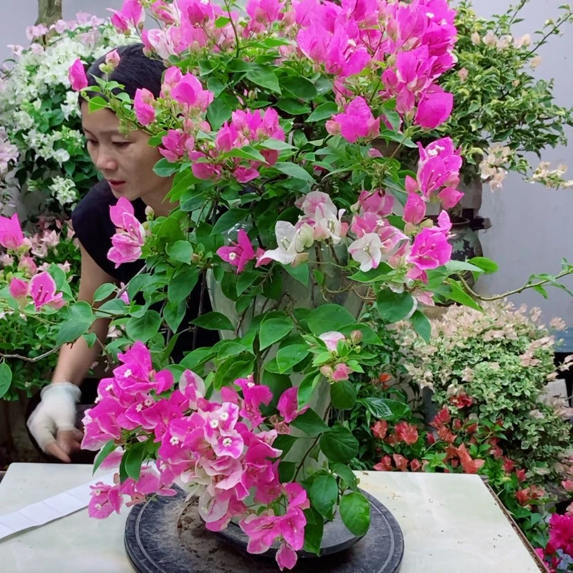 【闪购商品】完全开放