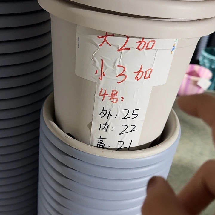 四季4号灰白带托8套特价