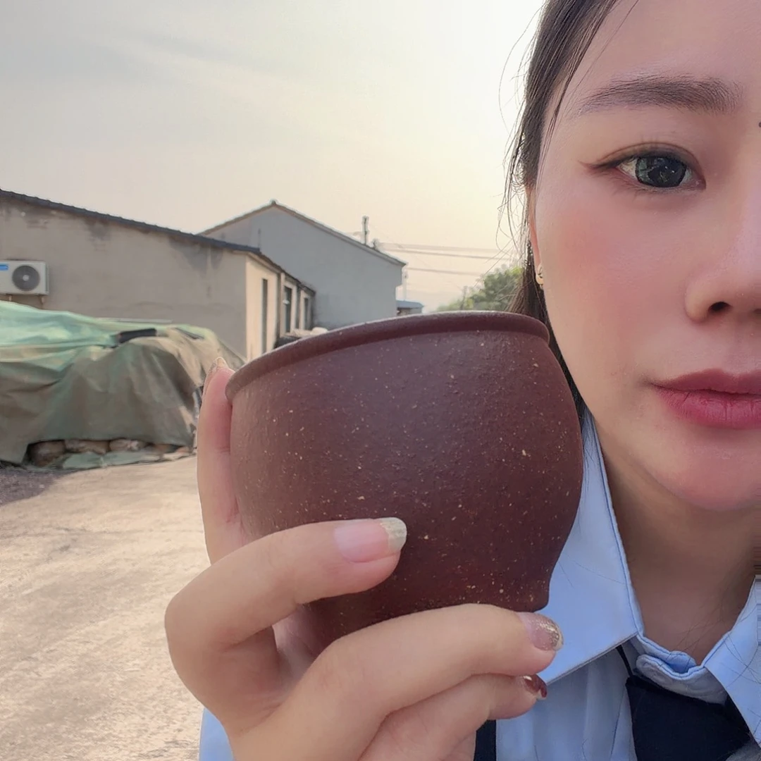 紫砂茶壶宜兴原矿紫桃花泥