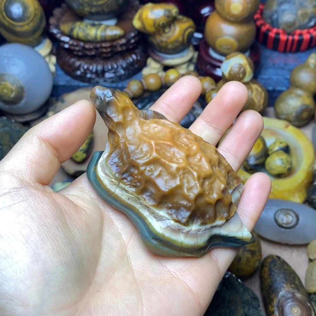 大叶紫檀（黑酸枝木类）花*