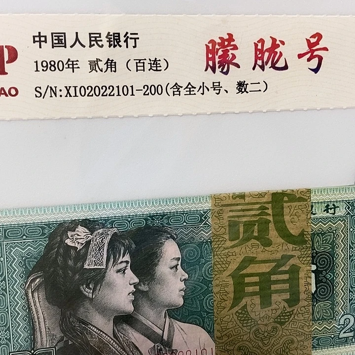 数二百连02022101，，，，，，