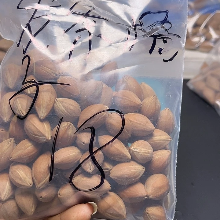 发***子手串/手链橄榄核111