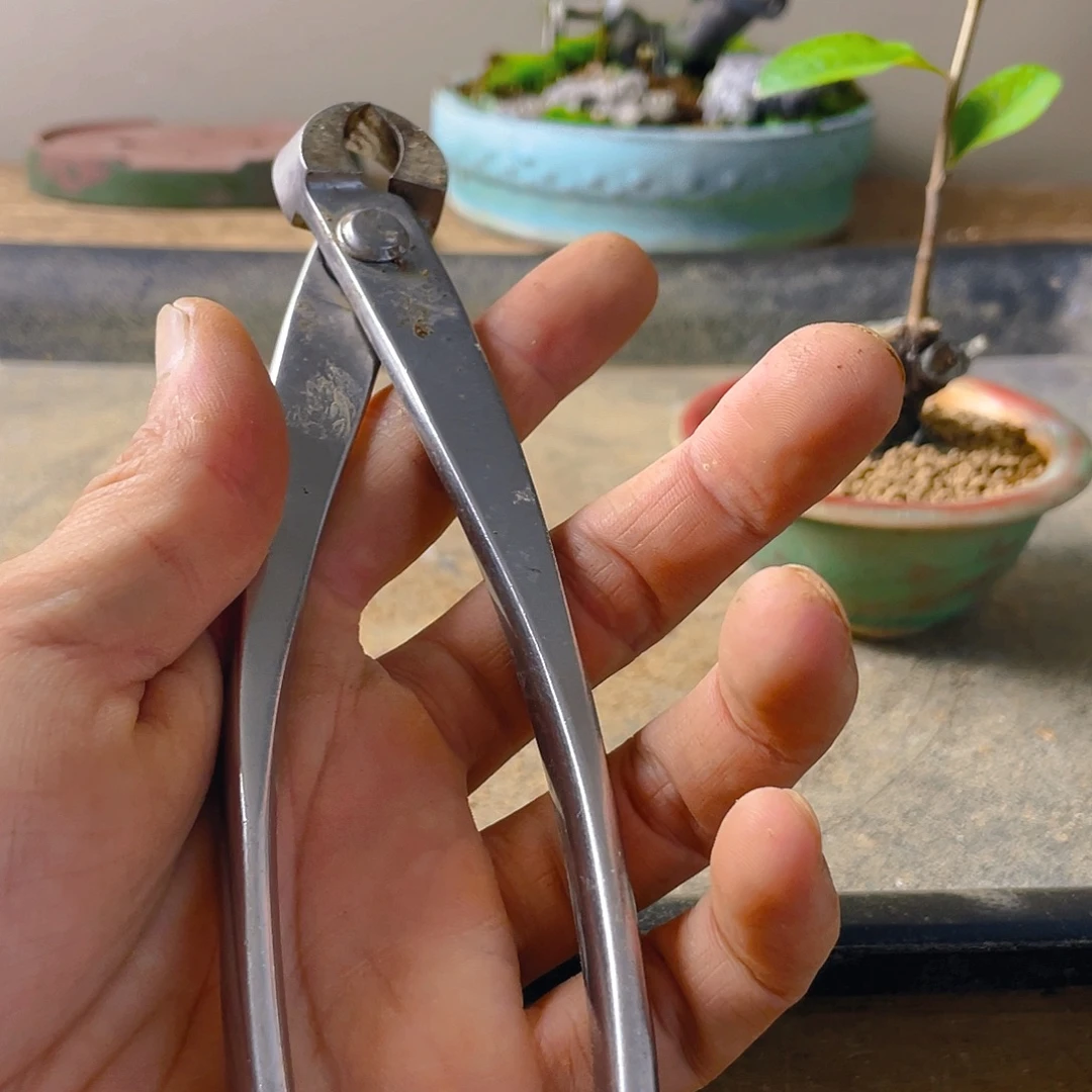 林***品无花朵斜口剪刀划开界限