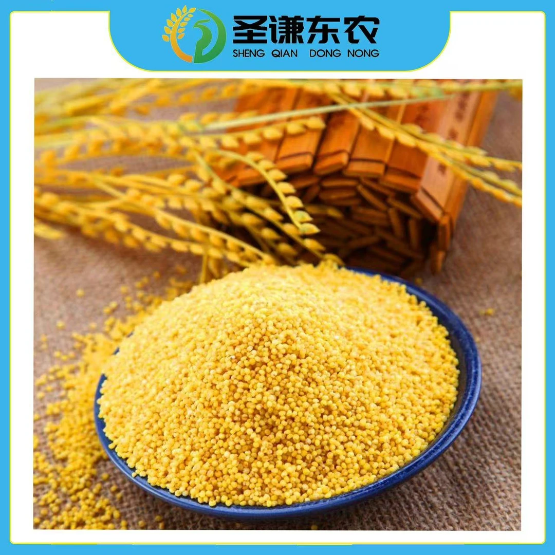 【许妈妈专属】圣谦东农有机新小米2.5kg