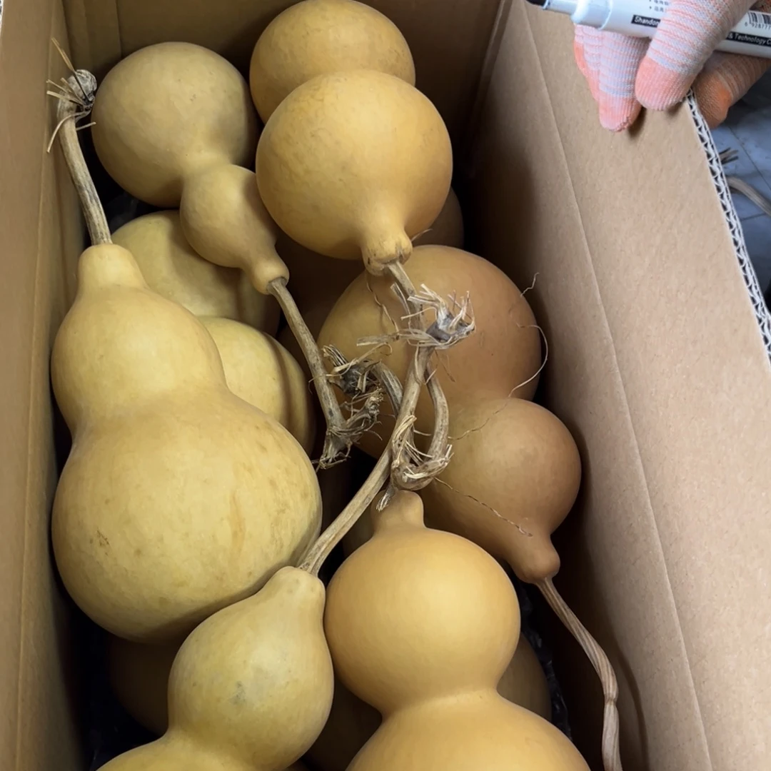 A***H有机玻璃葫芦葫芦