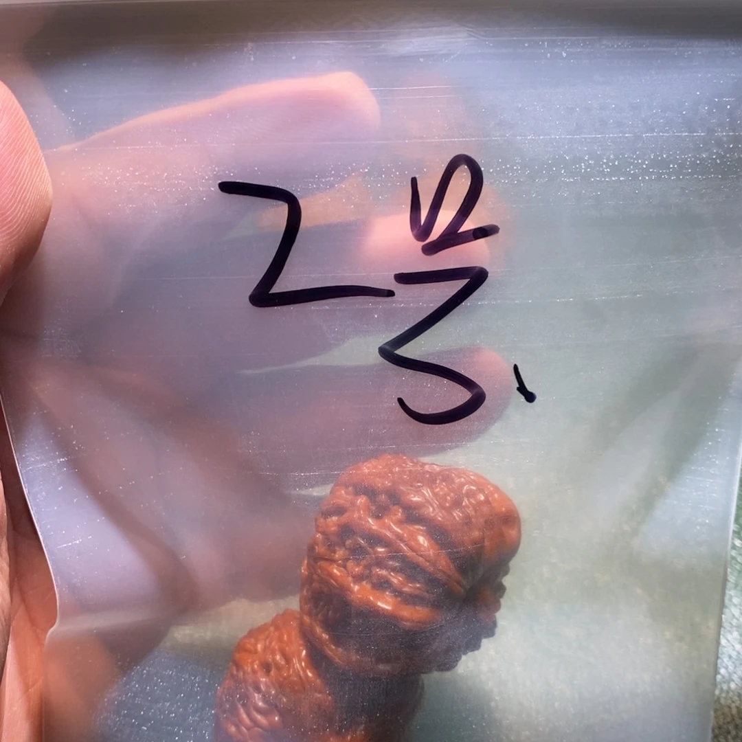 桃核吊坠白狮是最有影响