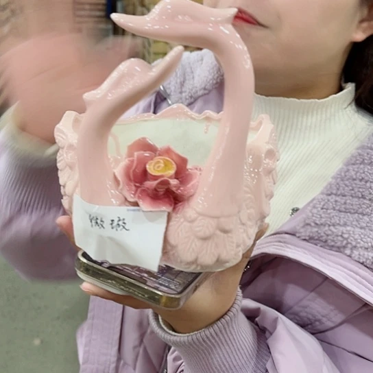 红陶花盆里还有几棵树上