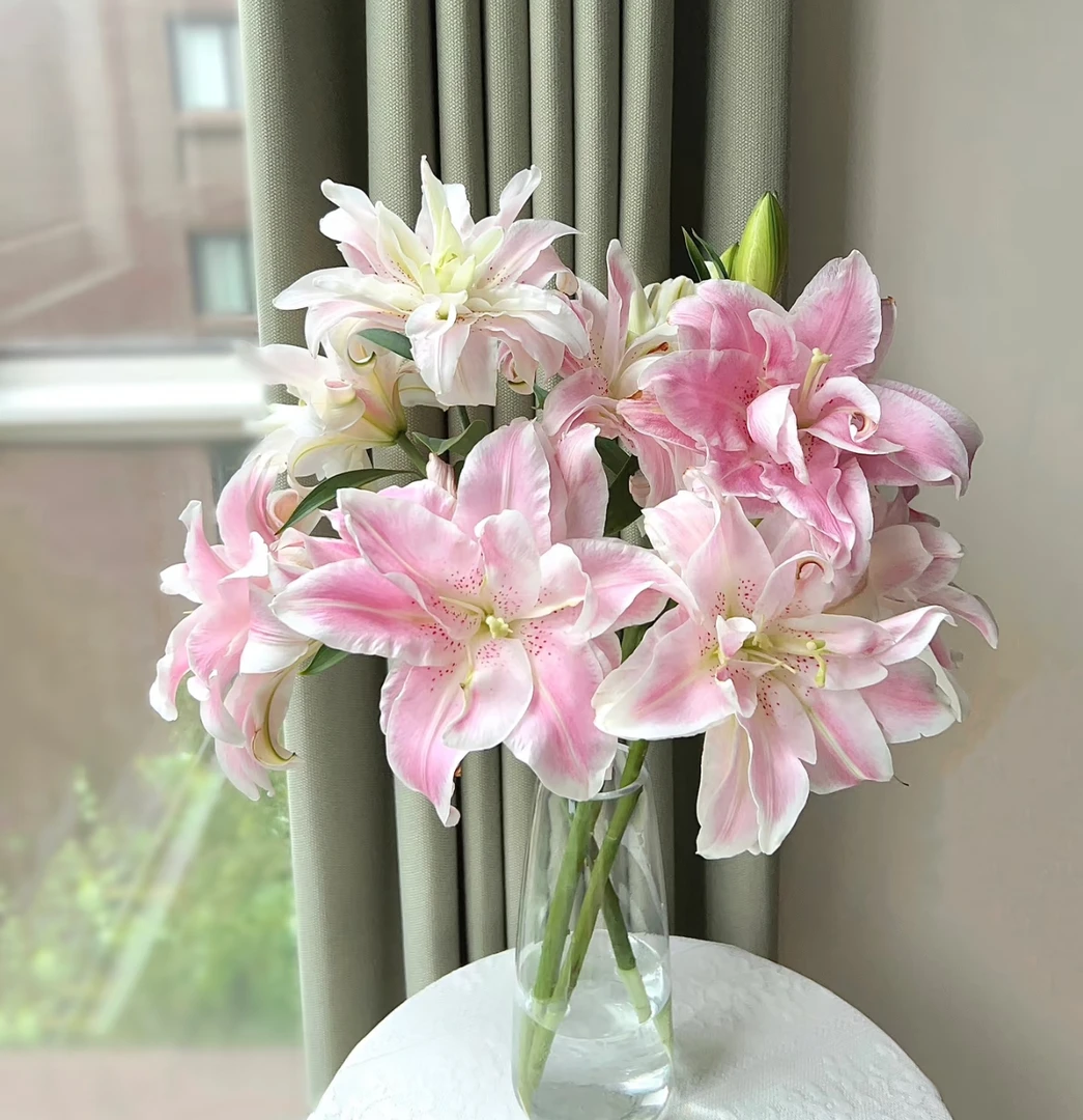 【魔法公主AK】粉色重瓣香水百合   | 全场任意满两单鲜花包邮