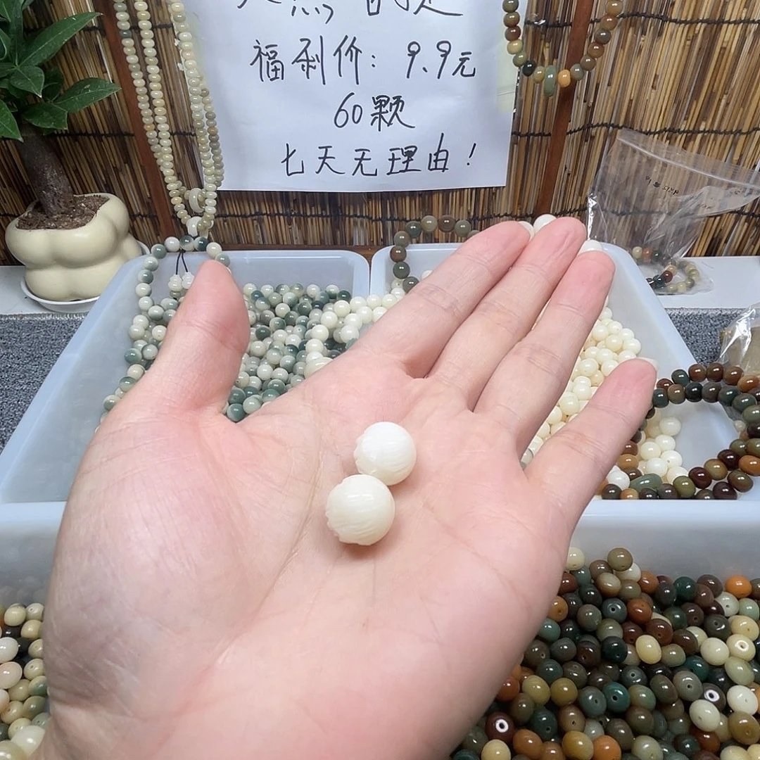吊坠菩提根/象牙果