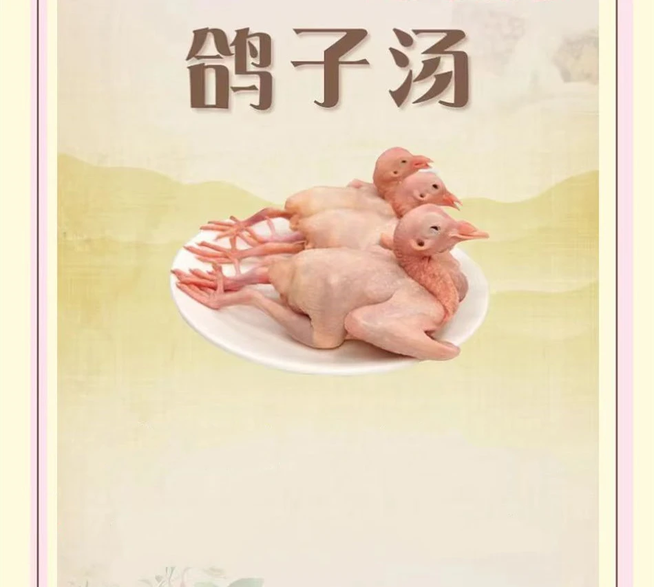 农家散养土鸽子肉新鲜现杀带内脏可炖汤营养丰富