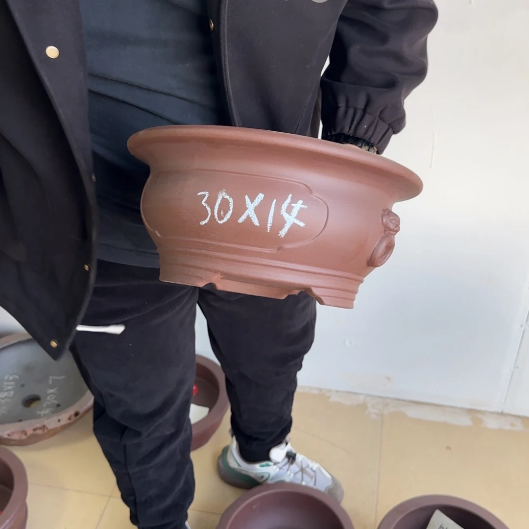 紫砂花盆我呜呜呜呜我好