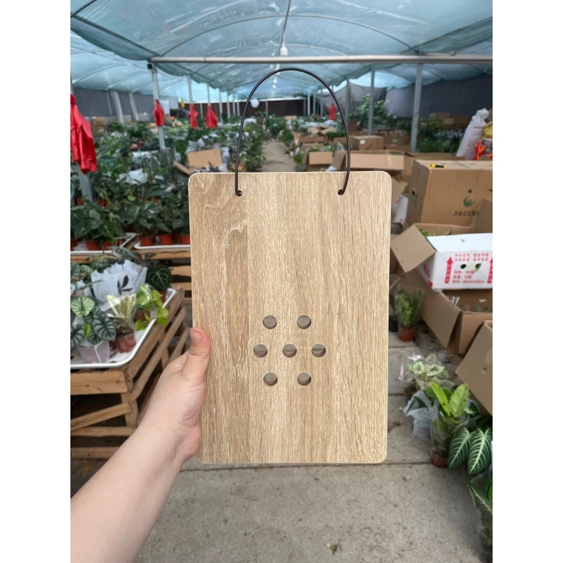 抗划痕防腐进口漆面板 种植板上墙定植挂板