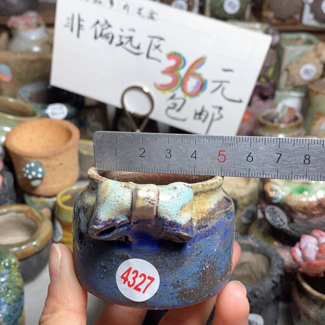 花盆拍5送一个小礼物