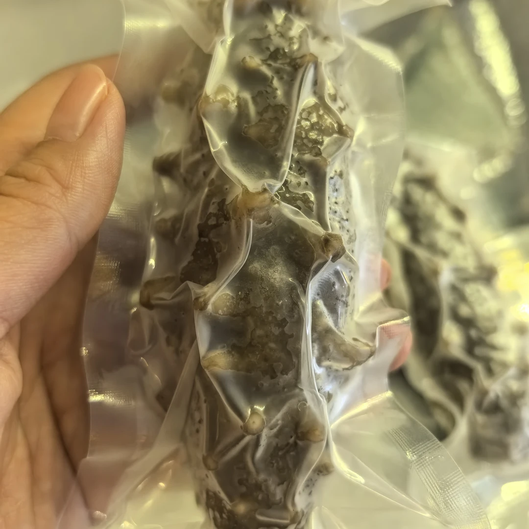 大连底播鲜食海参7-8斤一头,开袋即食(新疆不发货)