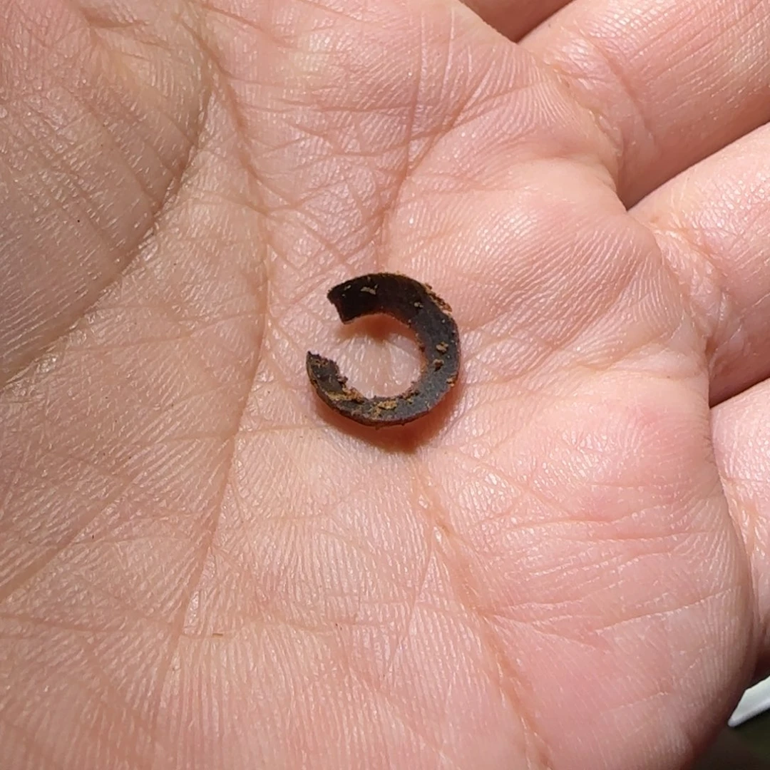 【闪购商品】沉香沉香碎屑1千万批次芽庄土熟老白奇沉水圈圈1个不退