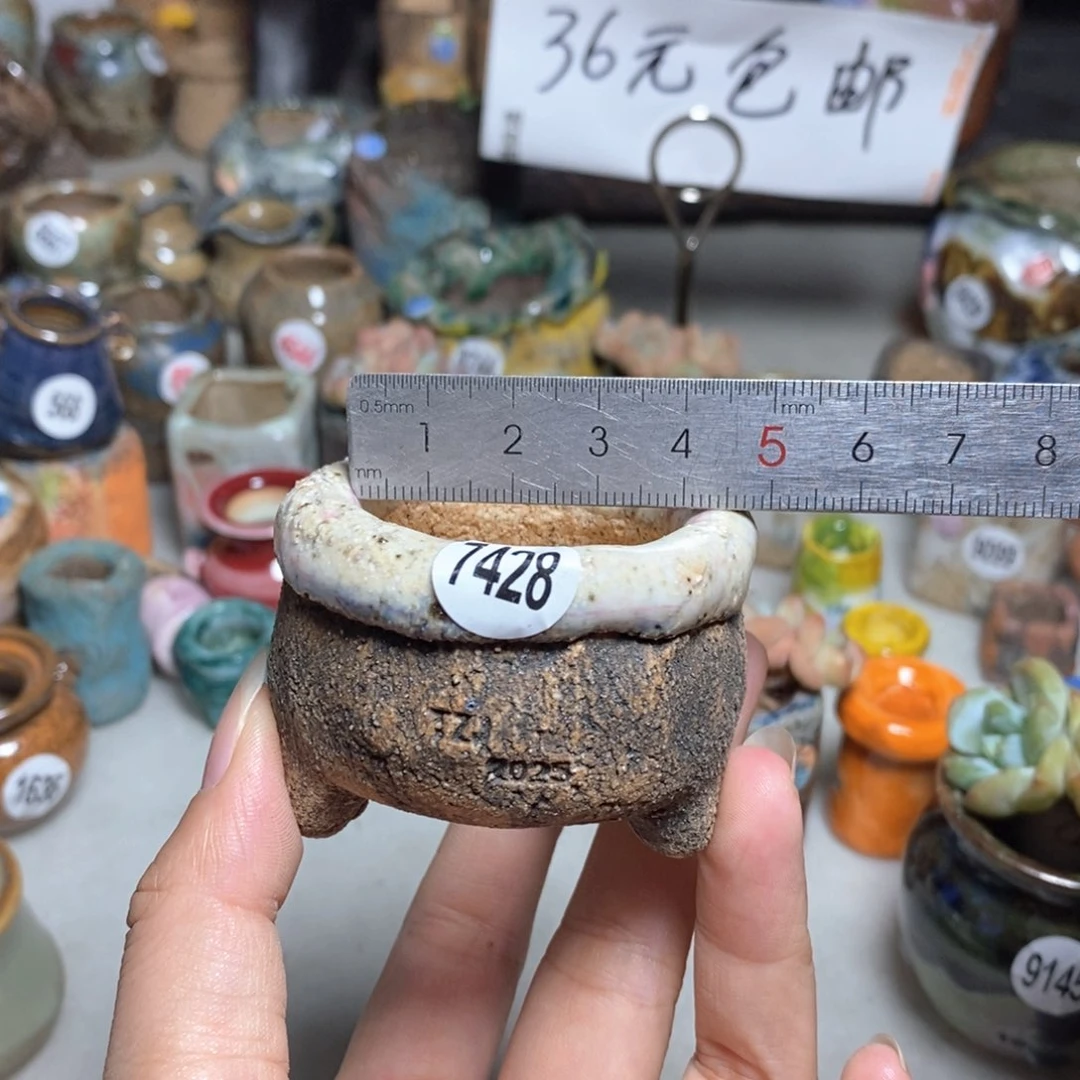 拍3送一个小礼物