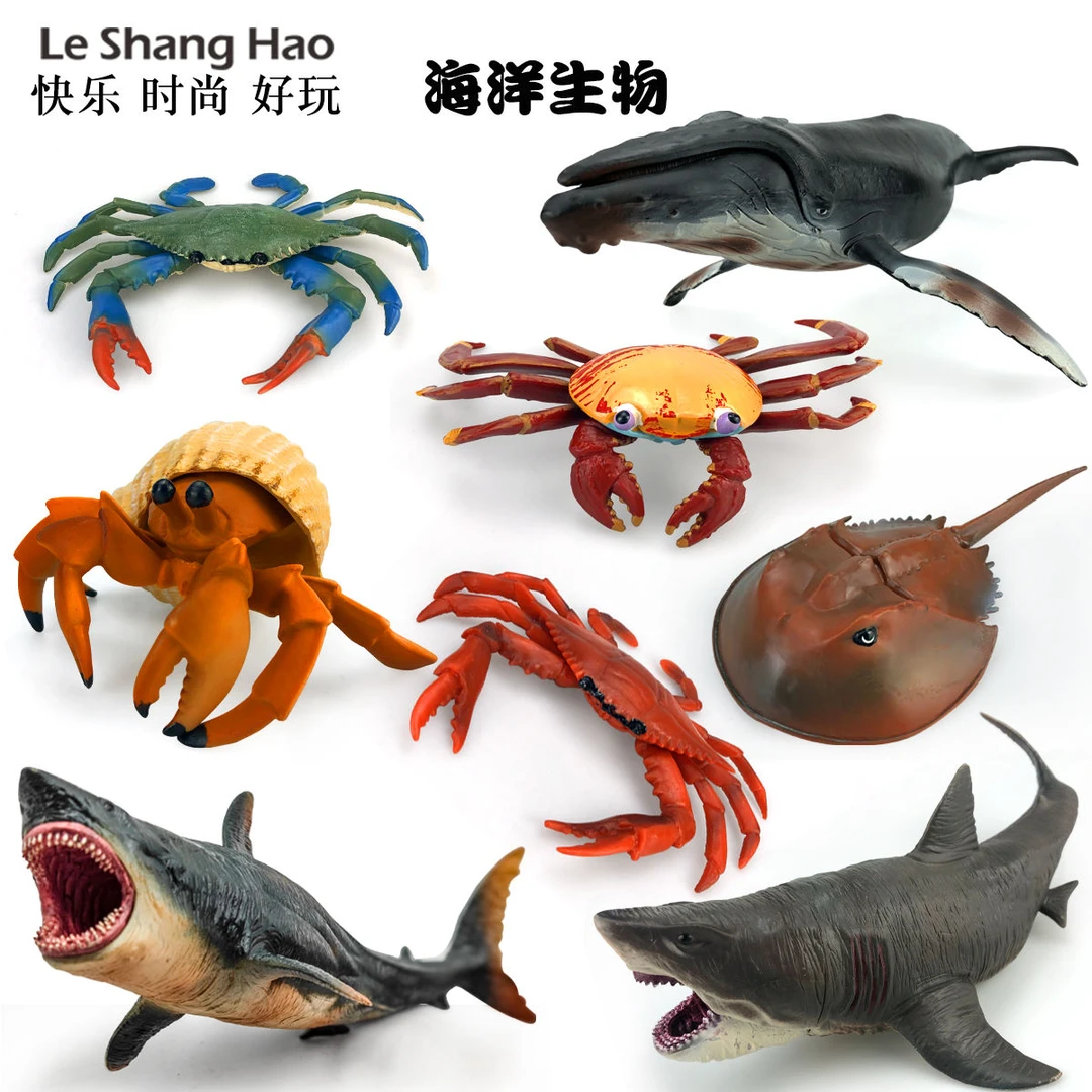 鲸鱼章鱼螃蟹鲨鱼玩具启蒙早教认知海洋动物模型仿真寄居蟹独角鲸