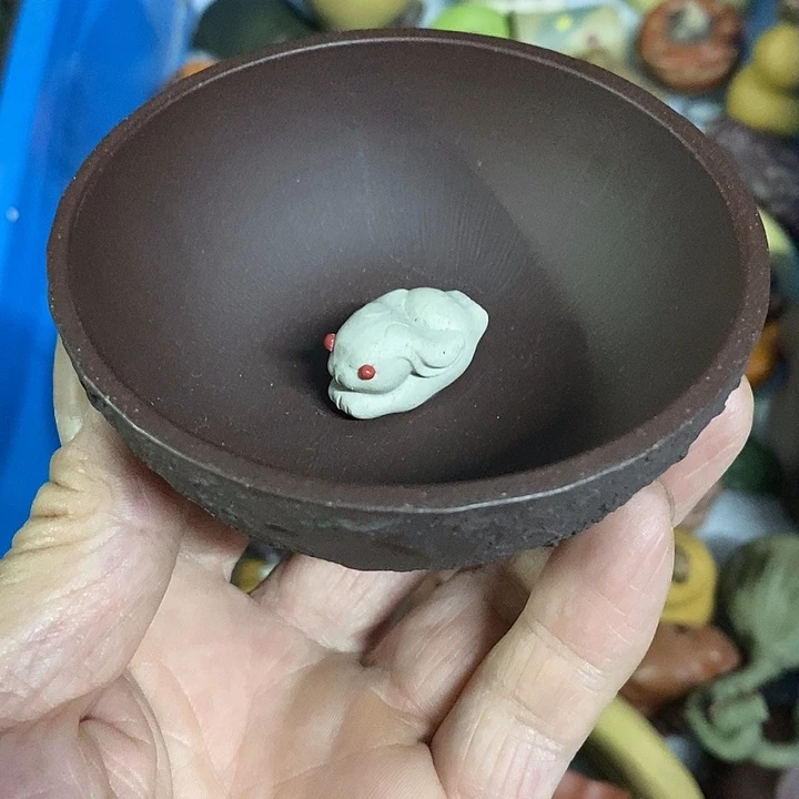 紫砂紫砂紫砂紫砂增长