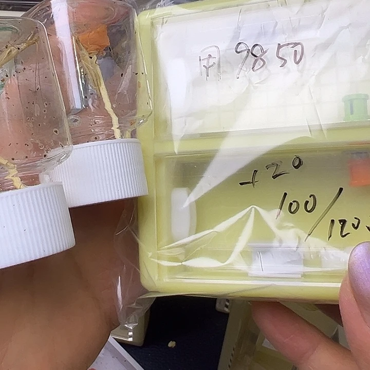 用***2哈哈哈哈哈哈哈哈哈哈哈