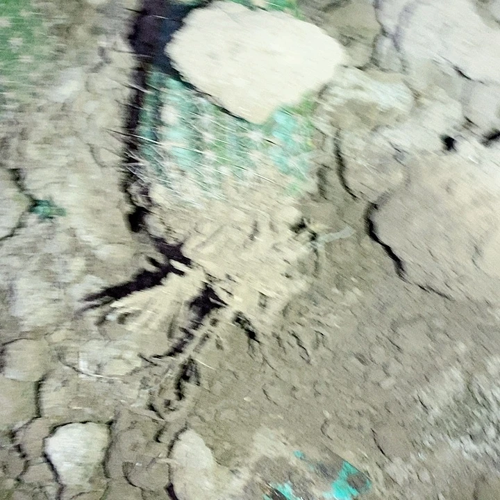 又***了加强立夏带根毛花柱