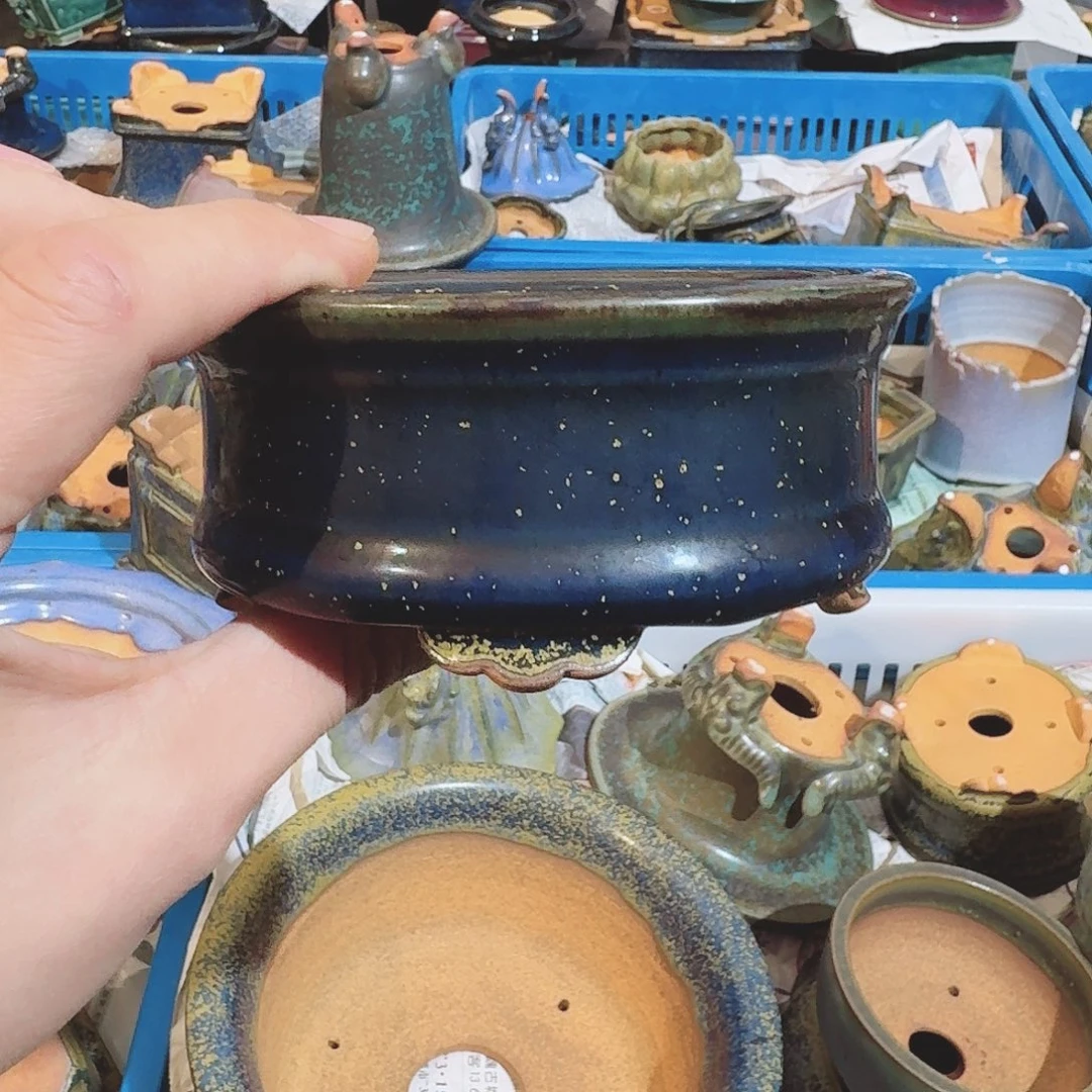 碗无瑕觉象原创盆景盆