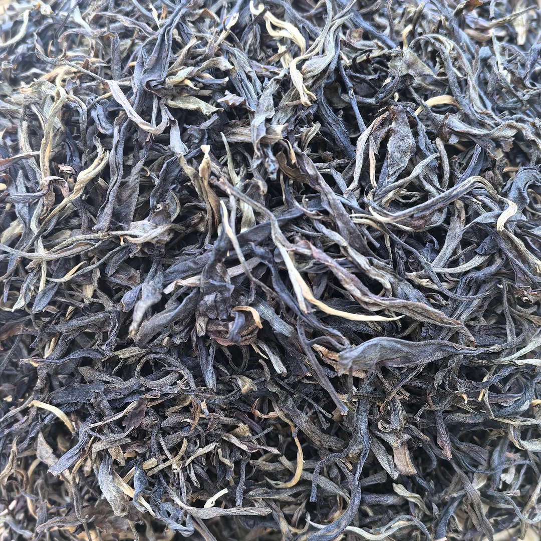 2019年布朗山戈新龙古树头春