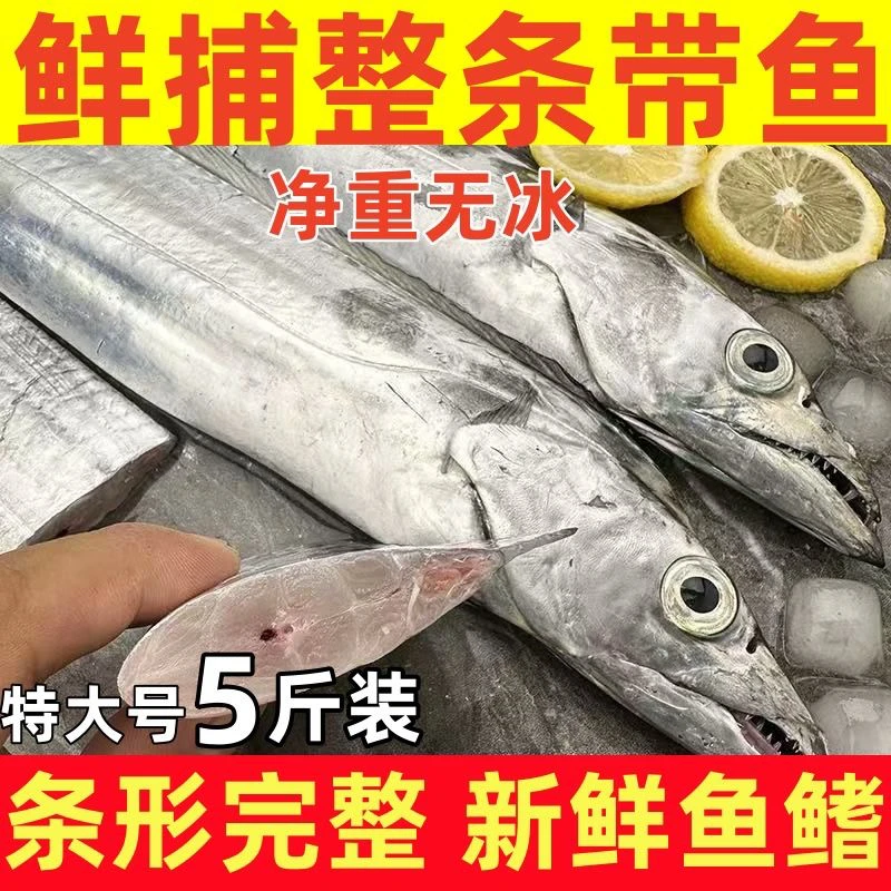 大大号5斤 整条带鱼 7-9两/条 5斤约7-9条 净重无冰