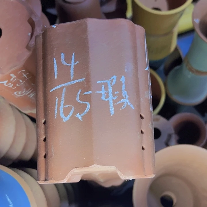 周深周深周深周深周深