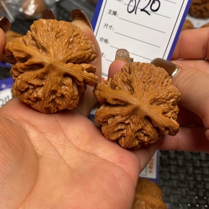 文玩核桃把件0120粗筋48