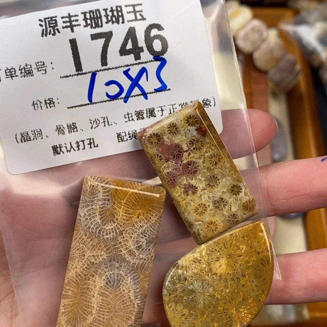 硅化玉颈饰未镶嵌傲**飞