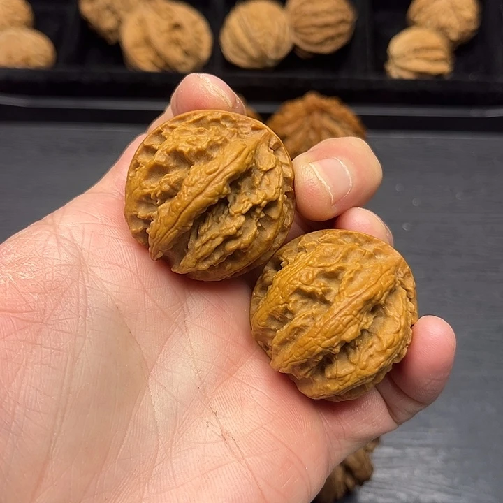 核桃突突突突突突突突突突突
