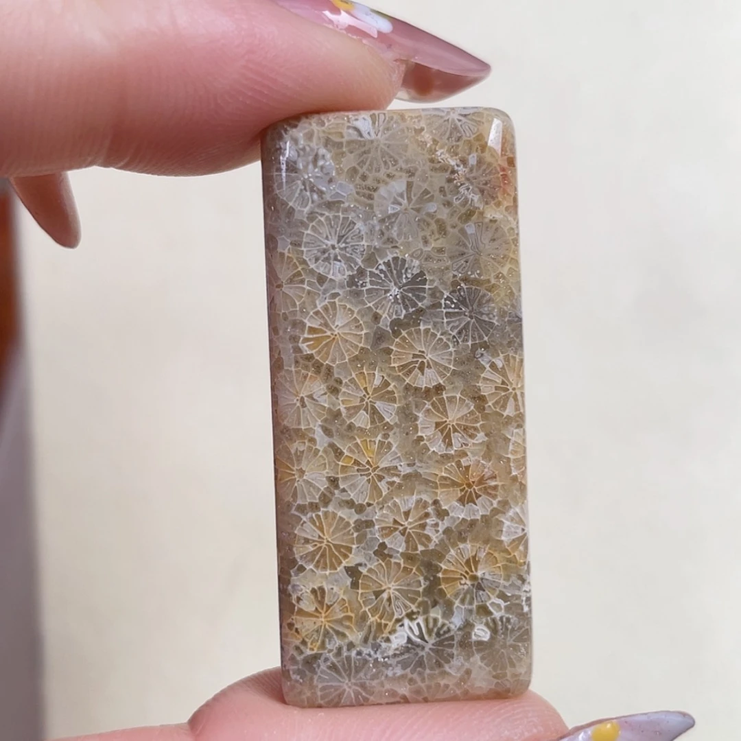 【闪购商品】未镶嵌吊坠(赠链)硅化玉