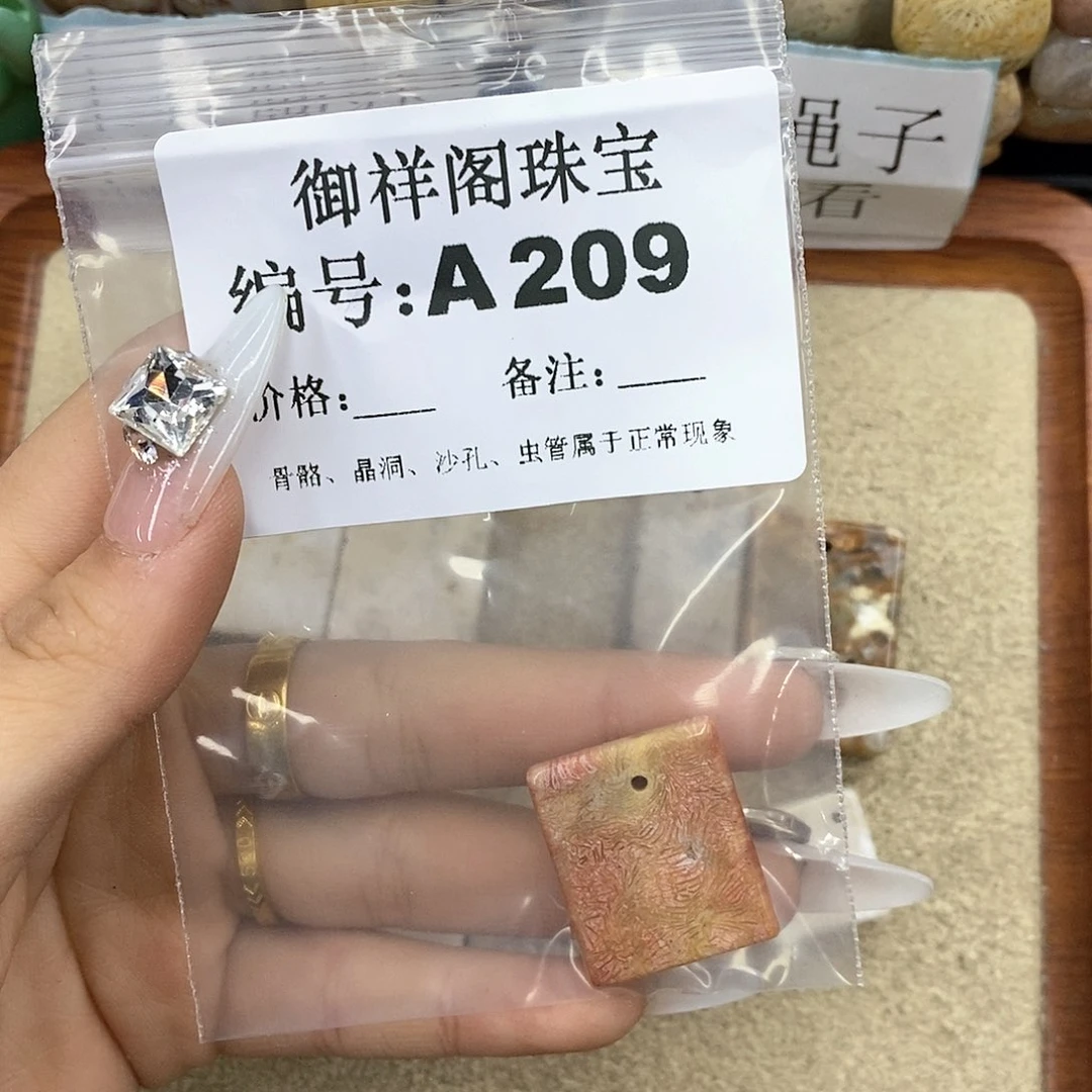 硅化珊瑚（珊瑚玉）A未镶嵌元*