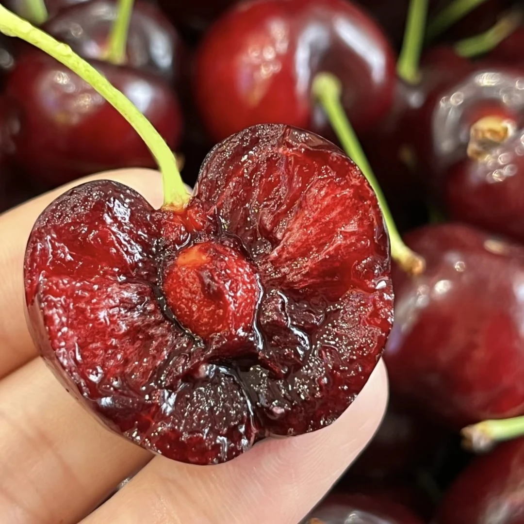 智利空运桑提娜车厘子 JJD 级 五斤装智利