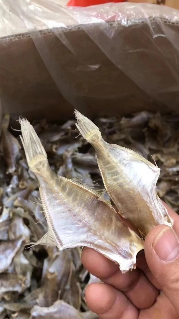 广东汕尾港中大号拨皮鱼干 迪仔捕 新鲜鱼干爆炒油煎 微咸淡口