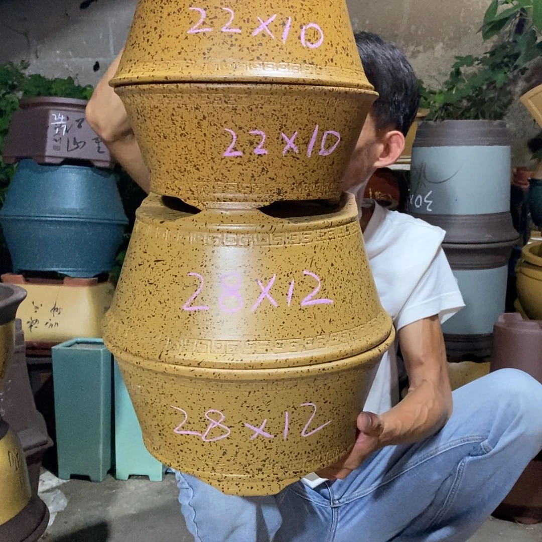 紫砂紫砂紫砂紫砂