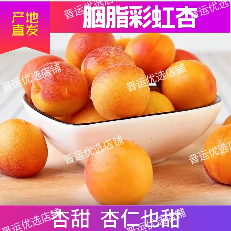 【现货速发】胭脂彩红杏 山西大红杏新鲜水果香甜多汁应季鲜果