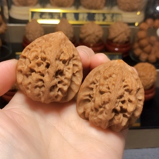精品：野生梨木台