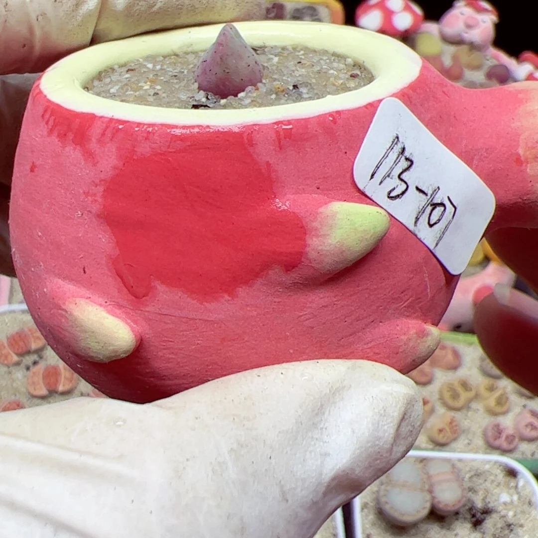 涵***！113 107优秀的肉肉