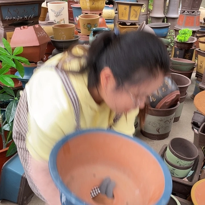 33蓝票口花盆紫砂花盆紫砂