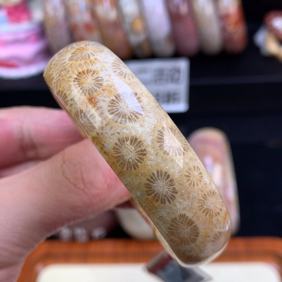 【闪购商品】颈饰未镶嵌硅化珊瑚（珊瑚玉）82号54.4圈大花花