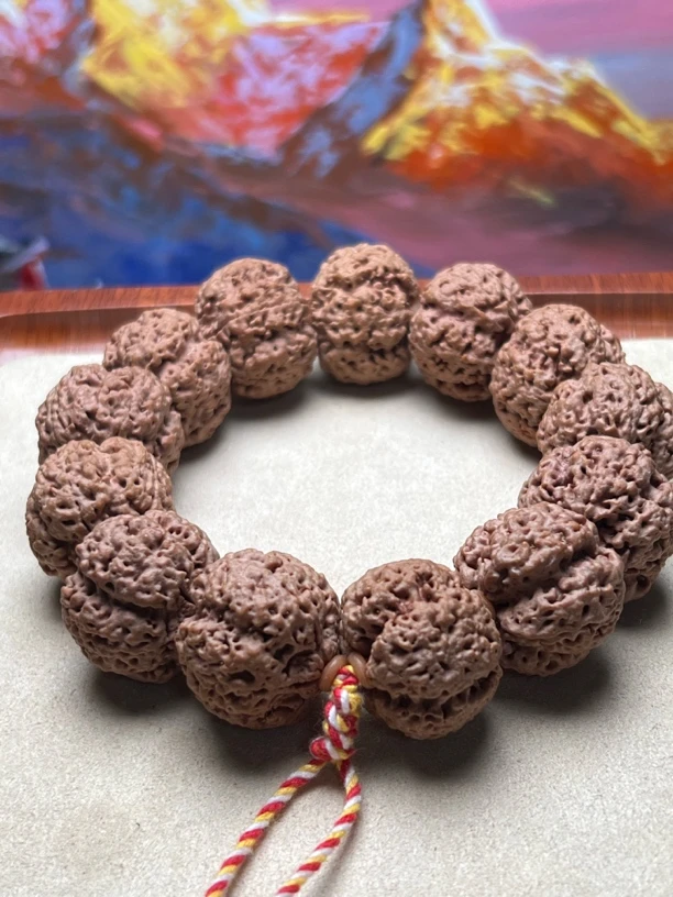 11号菠萝蜜梅花金刚菩提