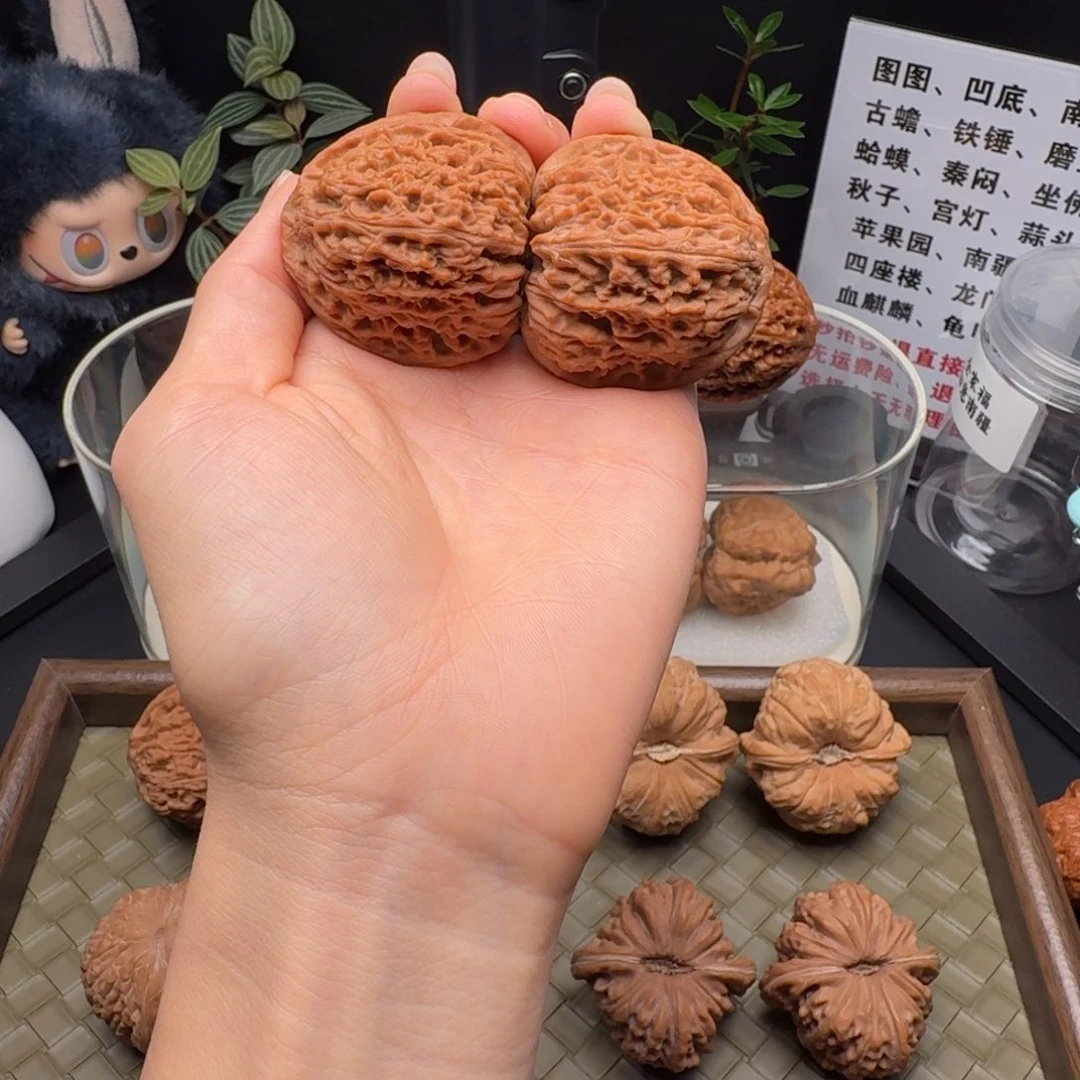 吊坠龙脊菩提全家福三角疆41全品