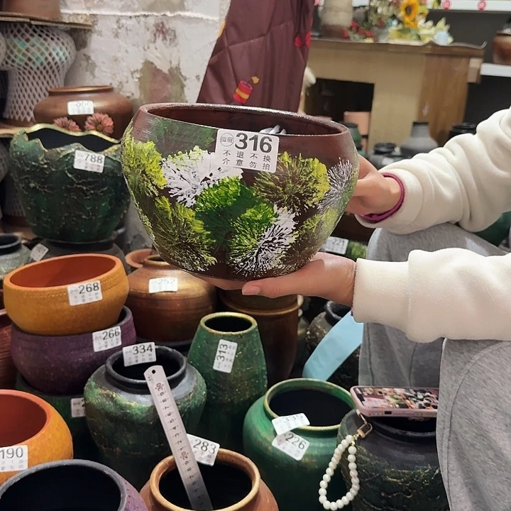 彩绘316高度14口径19