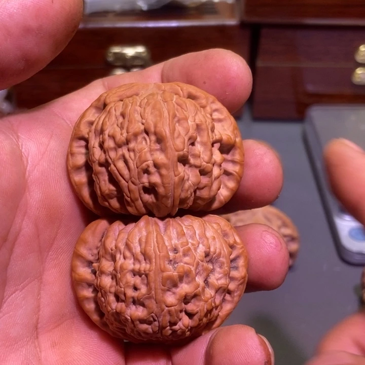 桃核把件$**Ι白狮子核桃
