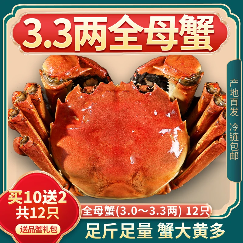 【活蟹】煌鲜尚品精品大闸蟹全母蟹3.0-3.3两8/10/12只鲜活礼盒装