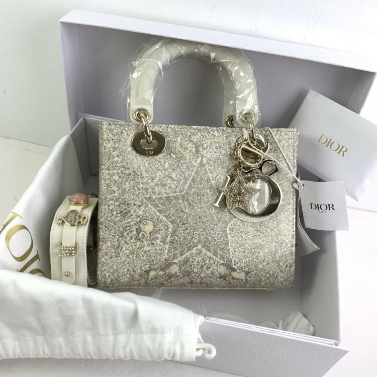 未使用/迪奥/单肩包/C10908480715/[251212LLYC]