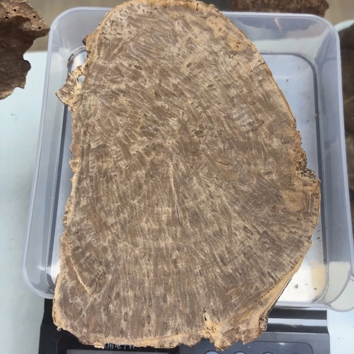 摆件沉香海南老头50克