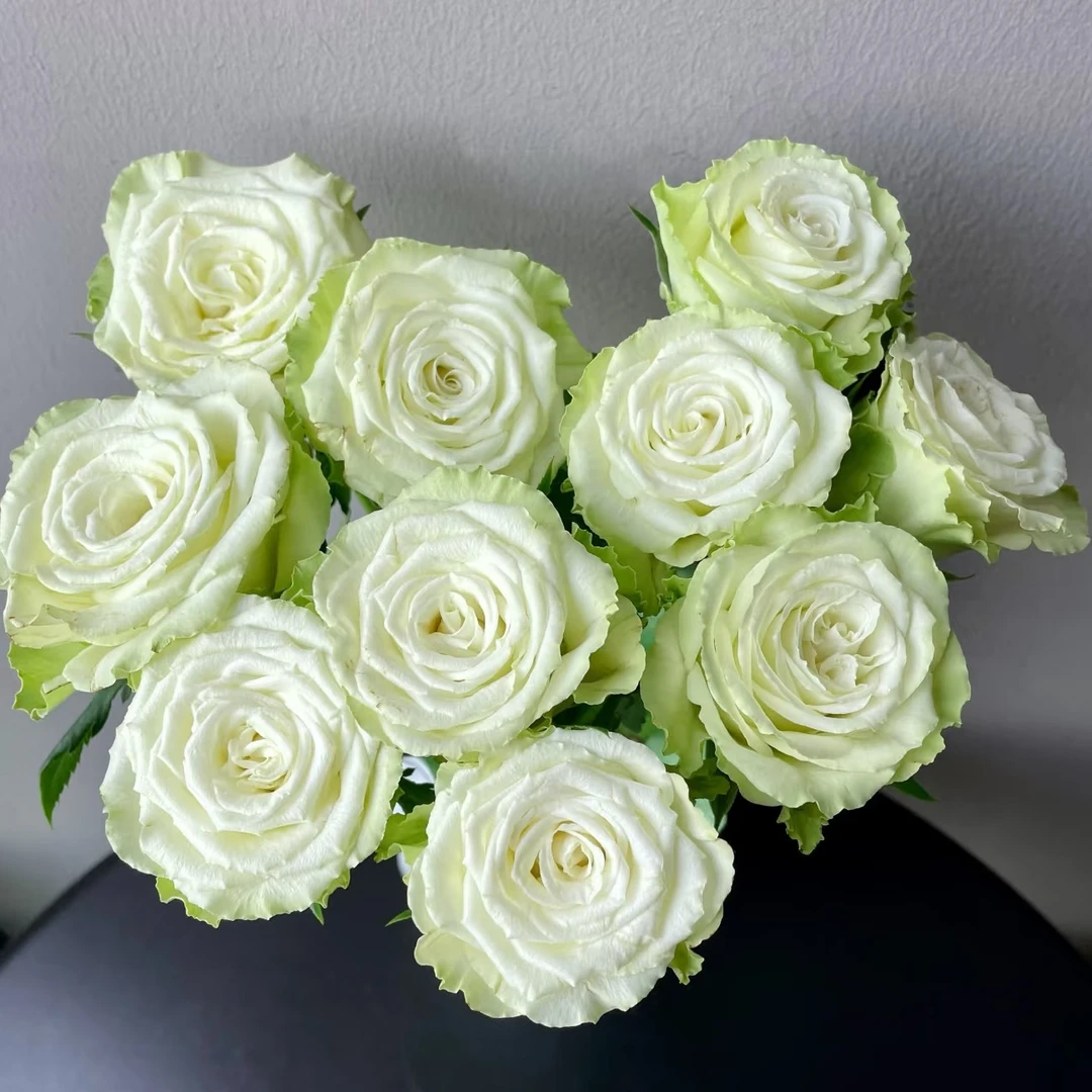【山岚】玫瑰鲜花/花束 云南鲜花基地直发